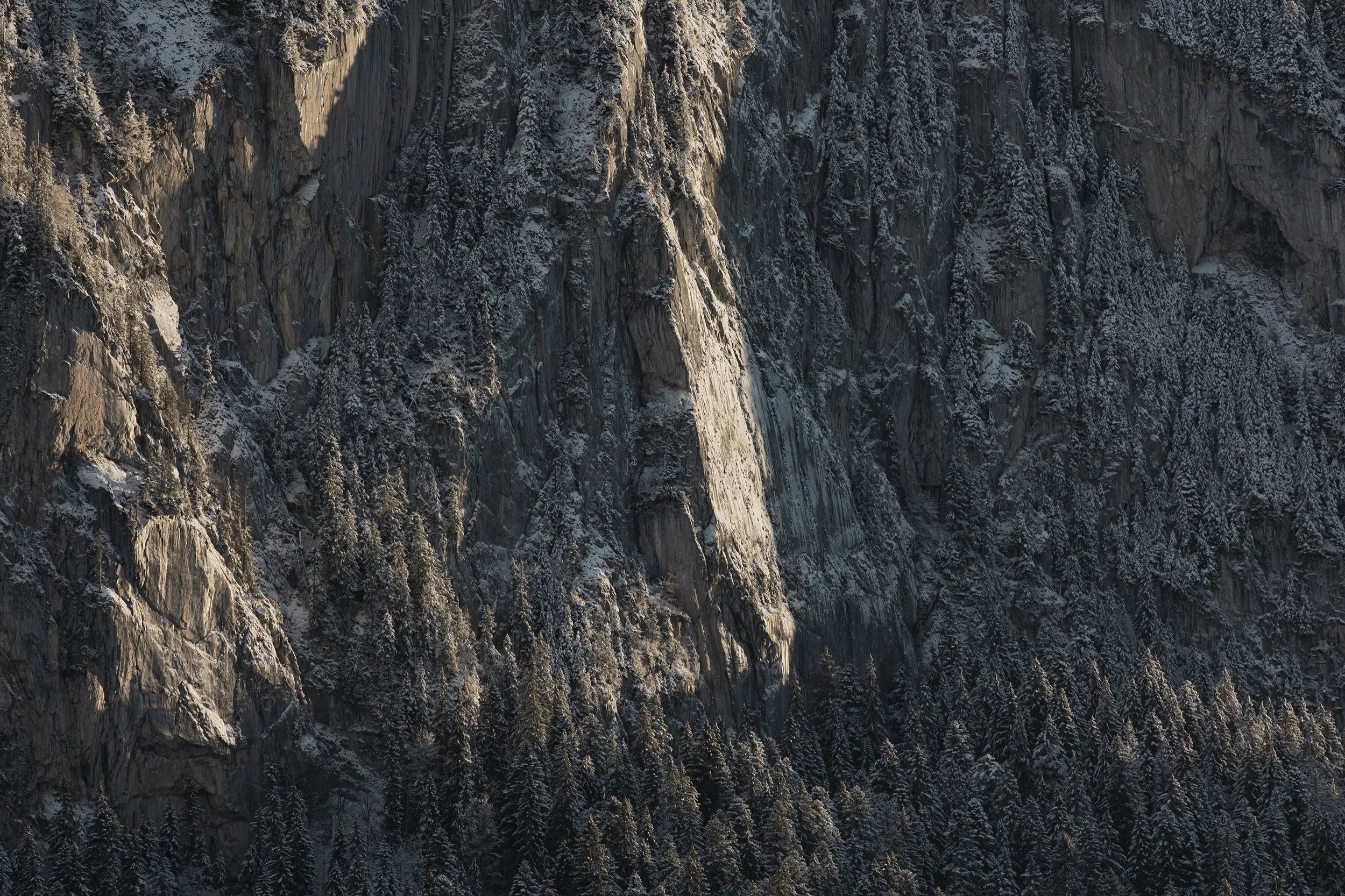 Une paroi rocheuse montagneuse enneigée avec des arbres au bas.