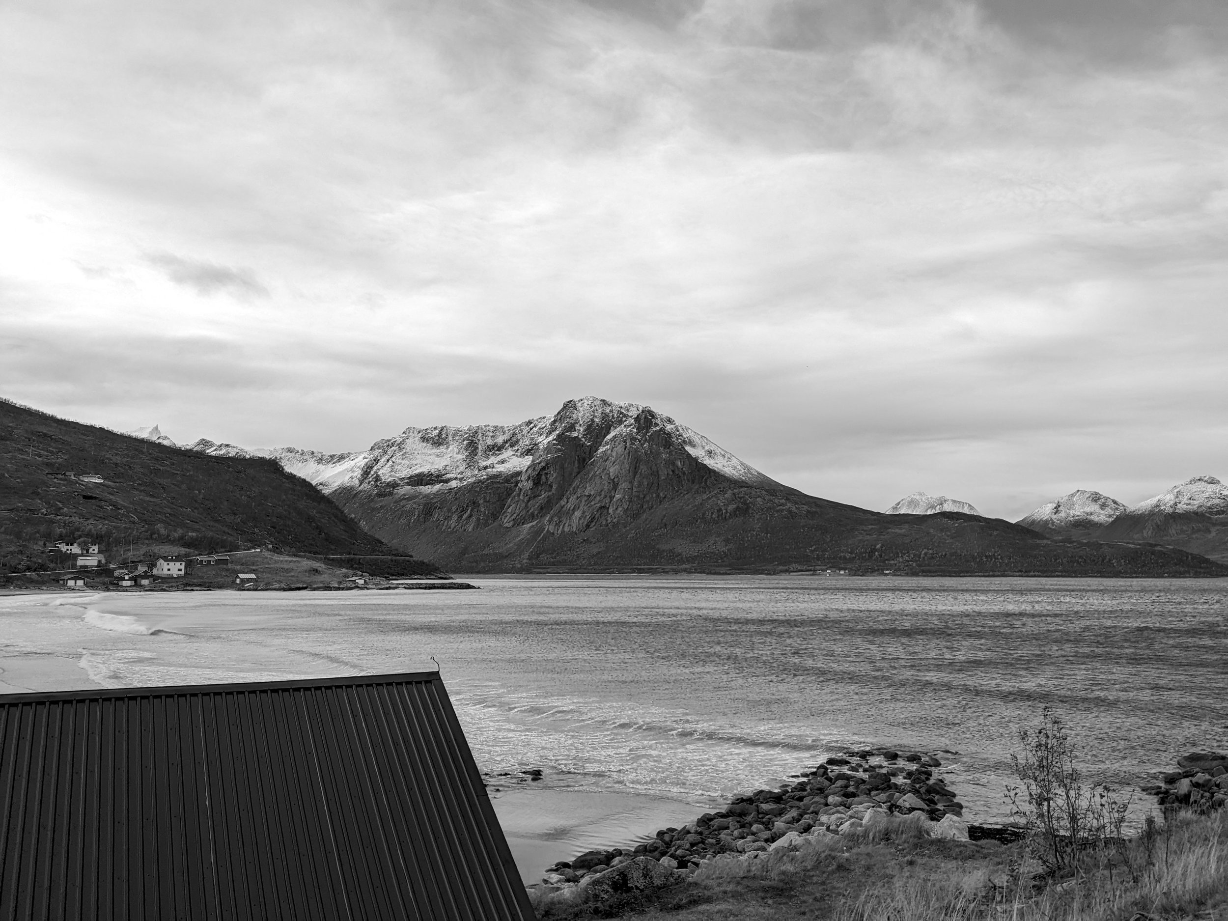 Pepe in the Greenhouse