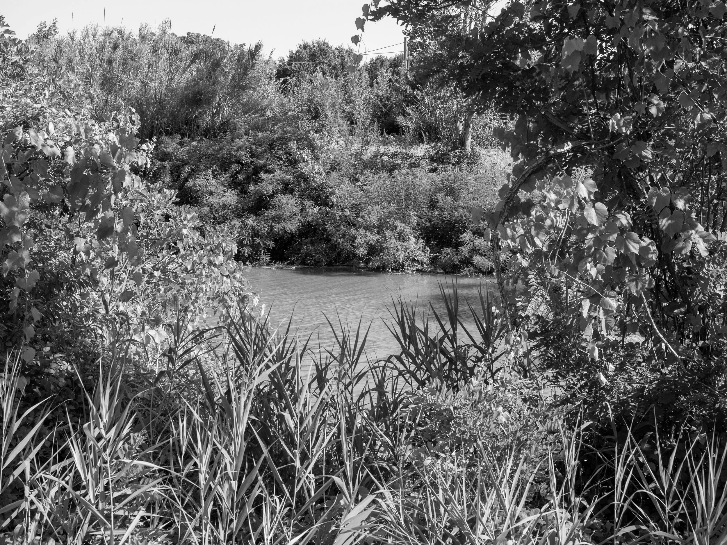 Swamp Matters, Storie di Oltremare