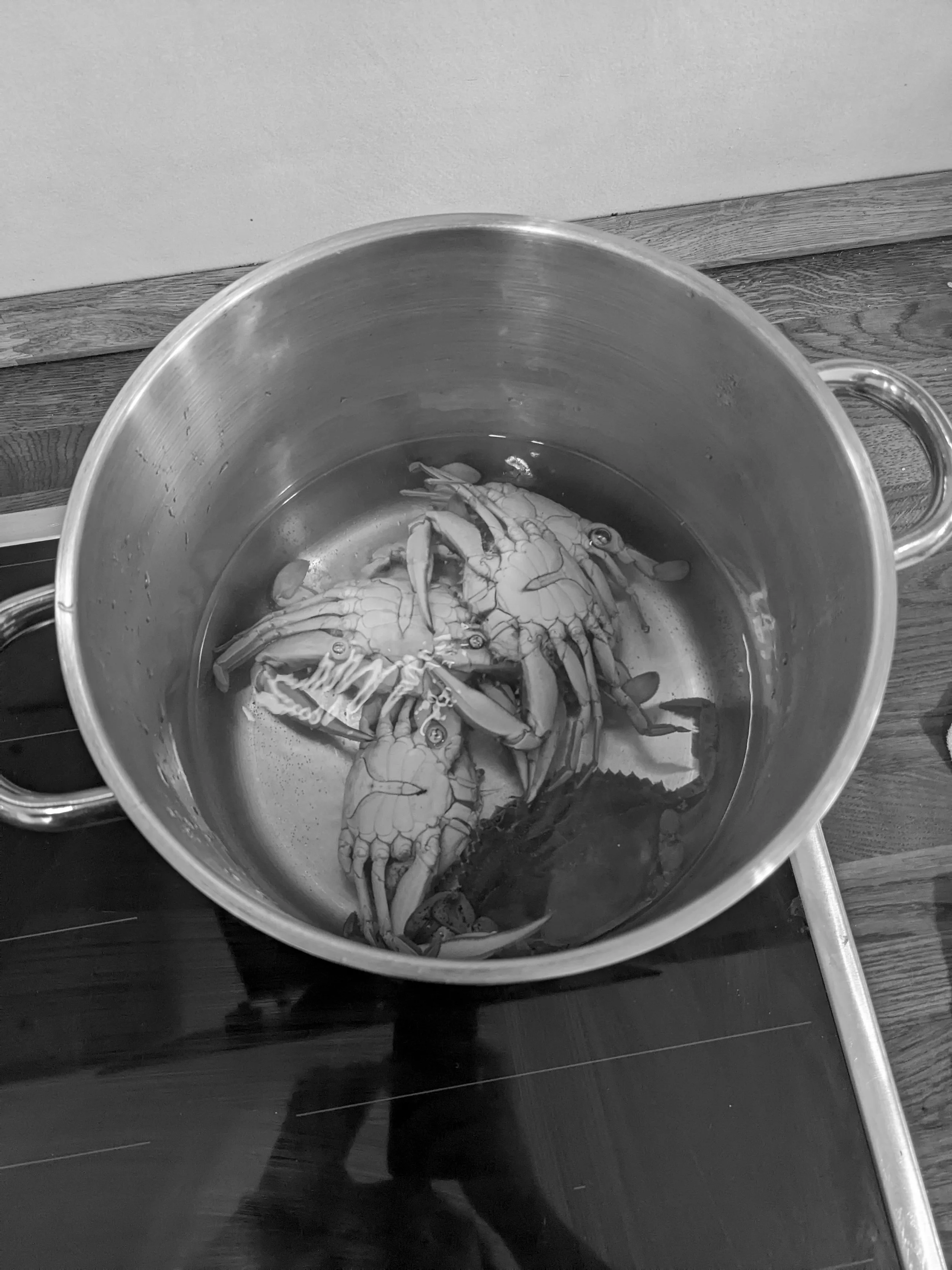 Pepe and Line write about the Culinary Environmental Humanities 