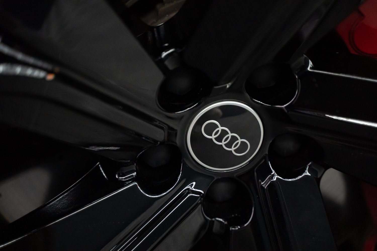 Audi-RSQ8-Zwart-9.jpg
