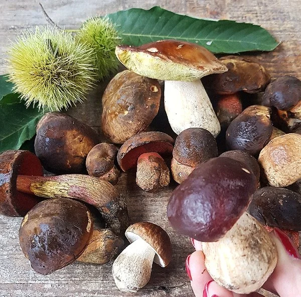 Risotto ai funghi porcini e liquirizia 1.jpg
