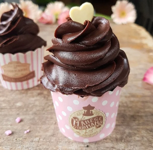 Delizia cioccolato e lamponi 1.jpg