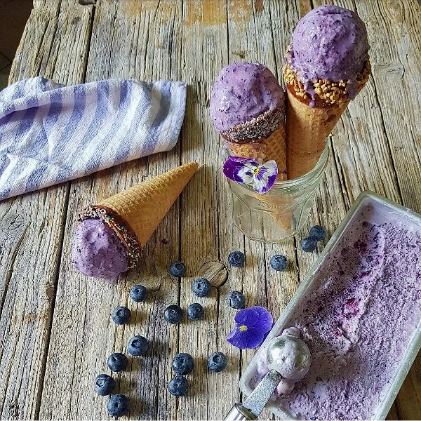 Gelato veloce al mirtillo.jpg