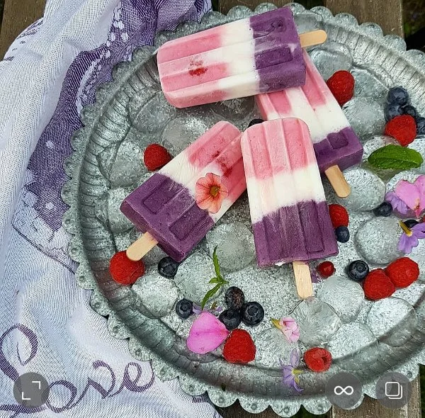 Popsicle yogurt lamponi mirtilli.jpg