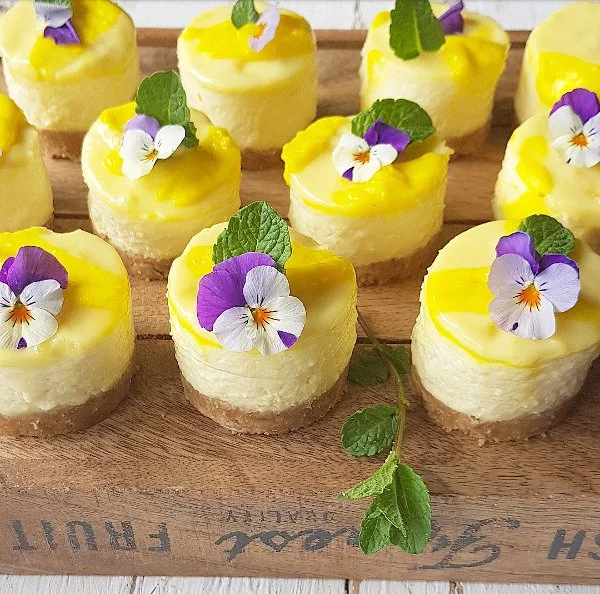 Cheesecake al limoncello