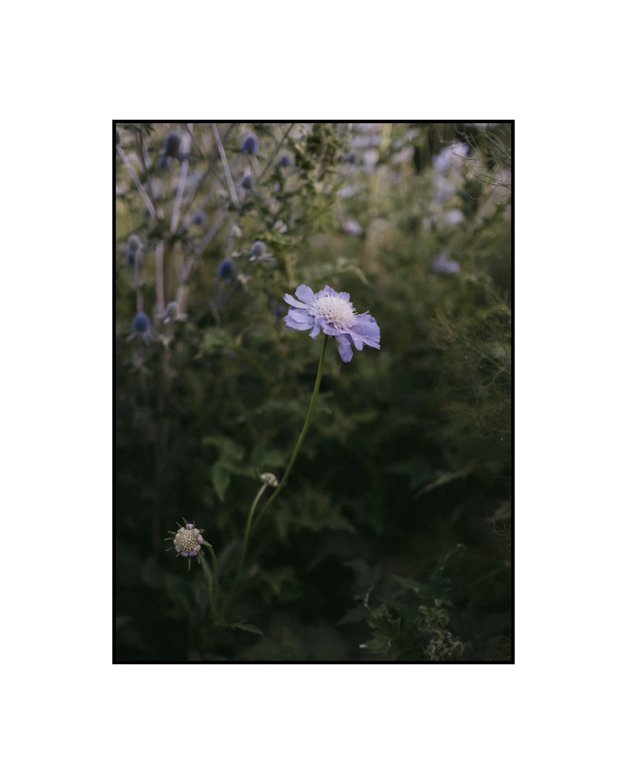 SCRL_0084.JPG