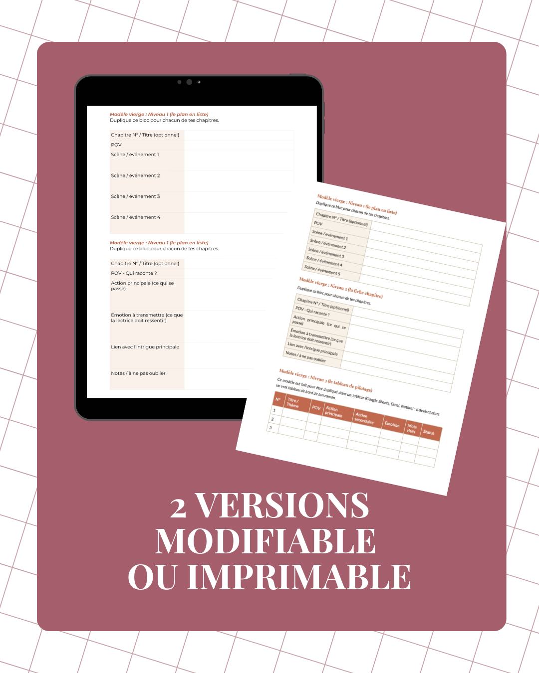 Kit Intrigue et Plan La Main Rose #3.png