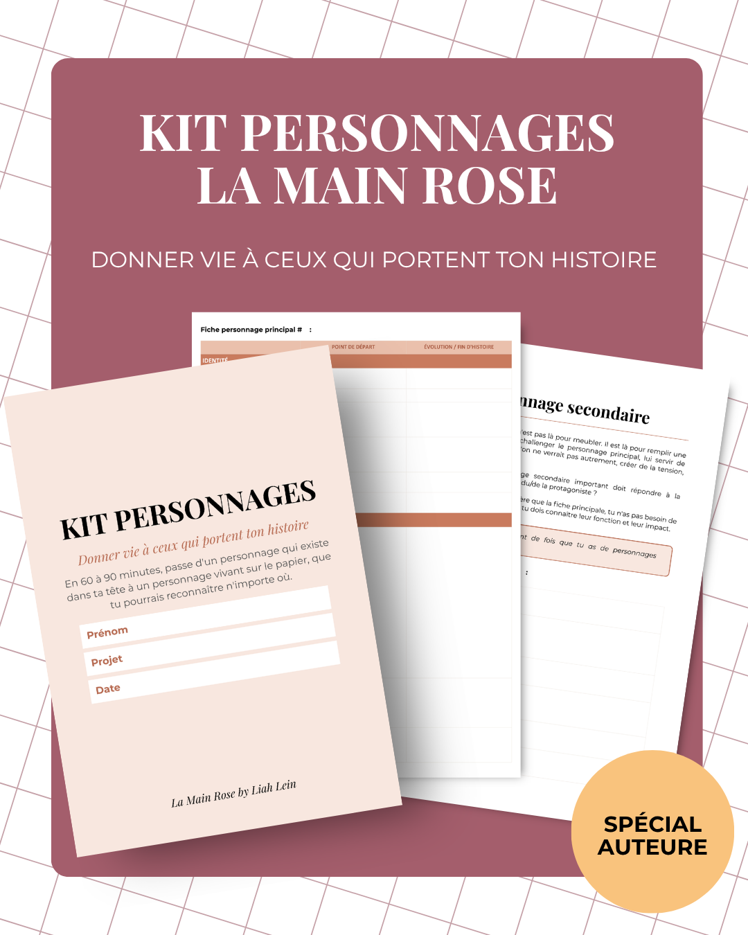 Kit Personnages La Main Rose #1.png