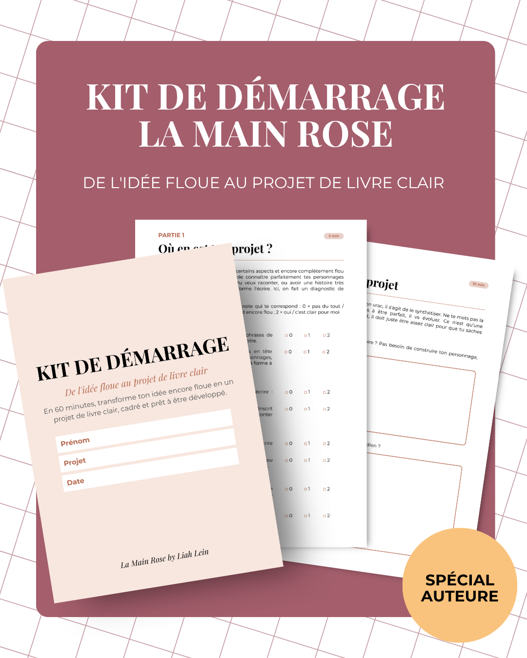 Kit de démarrage - L Main Rose #1.png