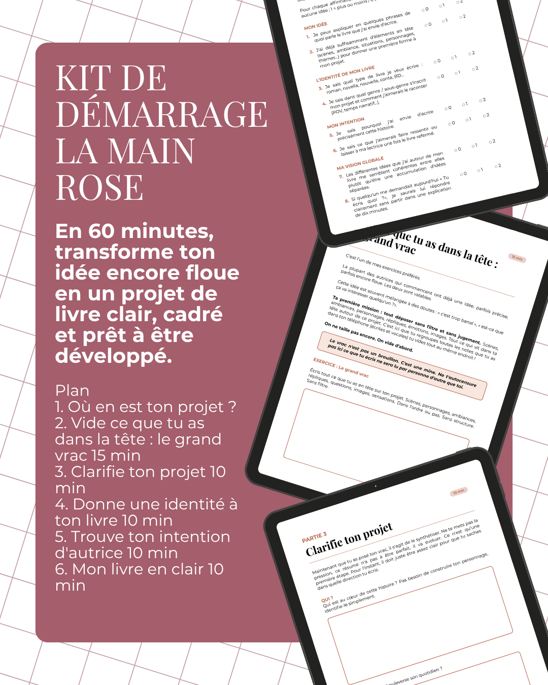 Kit de démarrage - L Main Rose #2.png