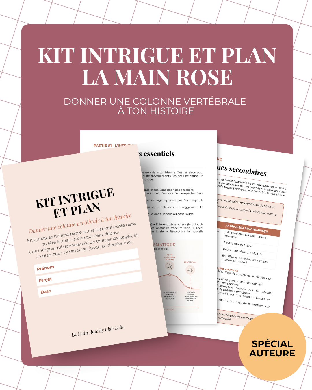 Kit Intrigue et Plan La Main Rose #1.png