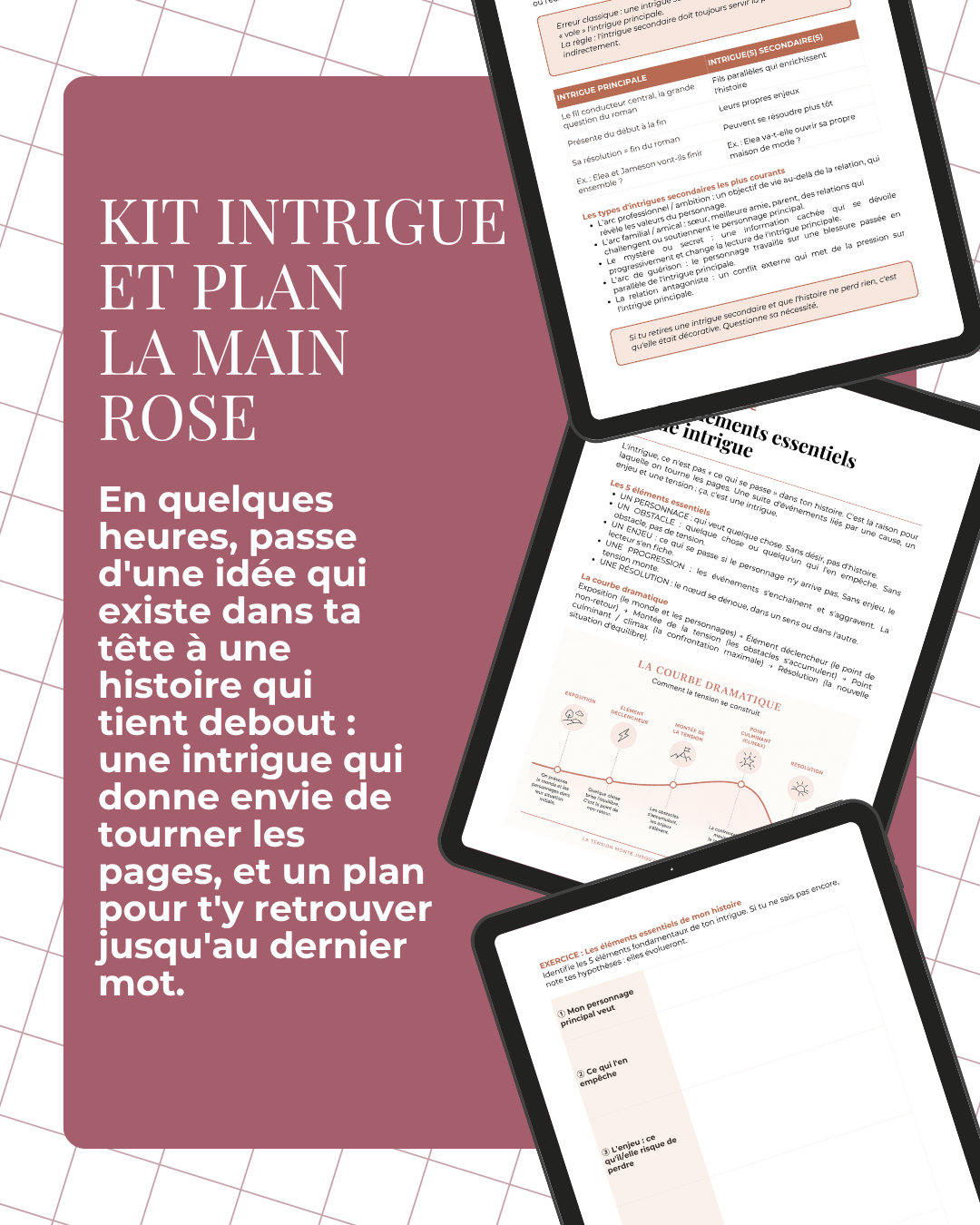 Kit Intrigue et Plan La Main Rose #2.png
