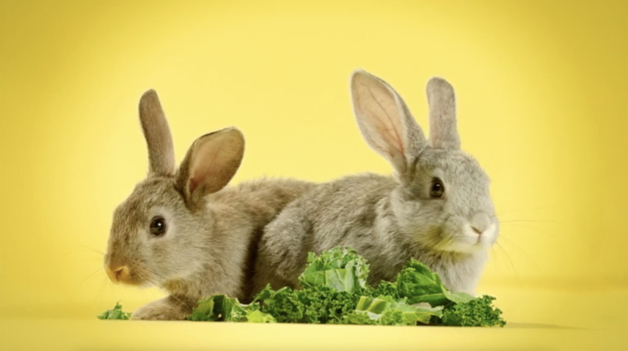 IF IT ALL GETS TOO MUCH