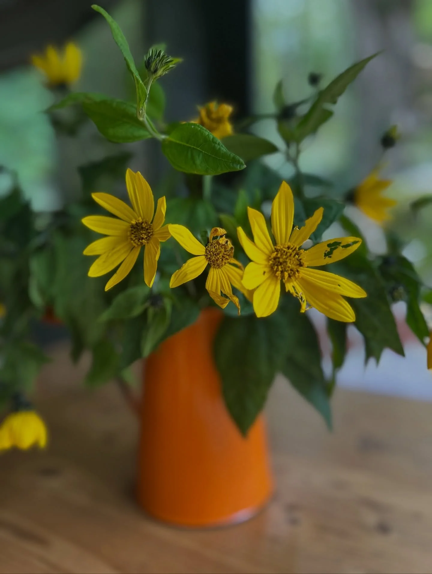 ALL SEASONS CABIN // This is our little cabin in the woods. It is set against a mountain and hugged by trees. It is open year around and super cozy in winter, in fact it is in the colder season this little gem is at its most cosiest.

The woodturner 