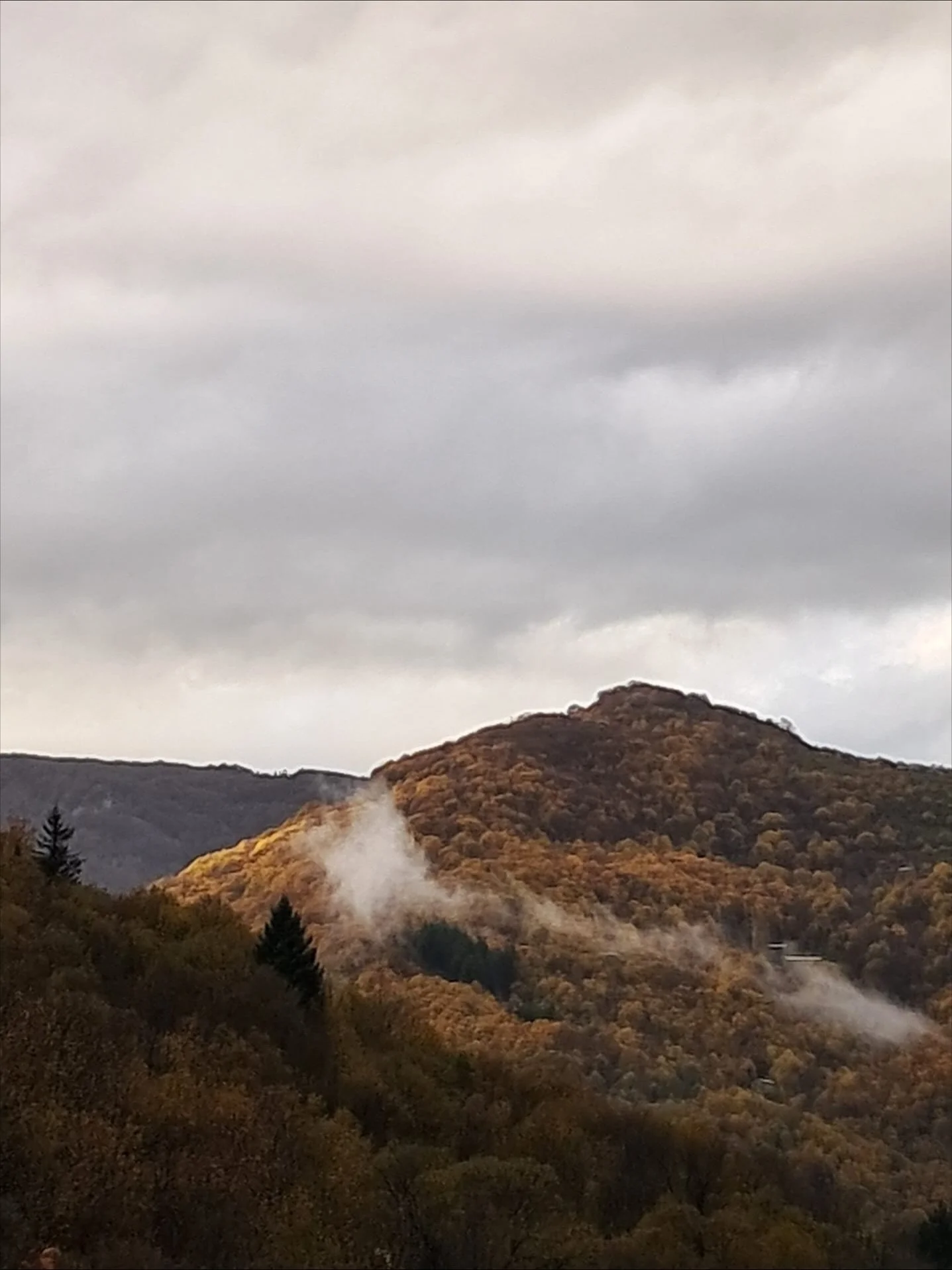 A WEEK IN THE LIFE OF // starting a new week with the one just gone. 

Its been a week of all sorts. Guests came and gone. Family too. There was sunshine, there was rain, the leaves that are leaving us. 

We cooked breakfasts, hosted yoga, Two birthd