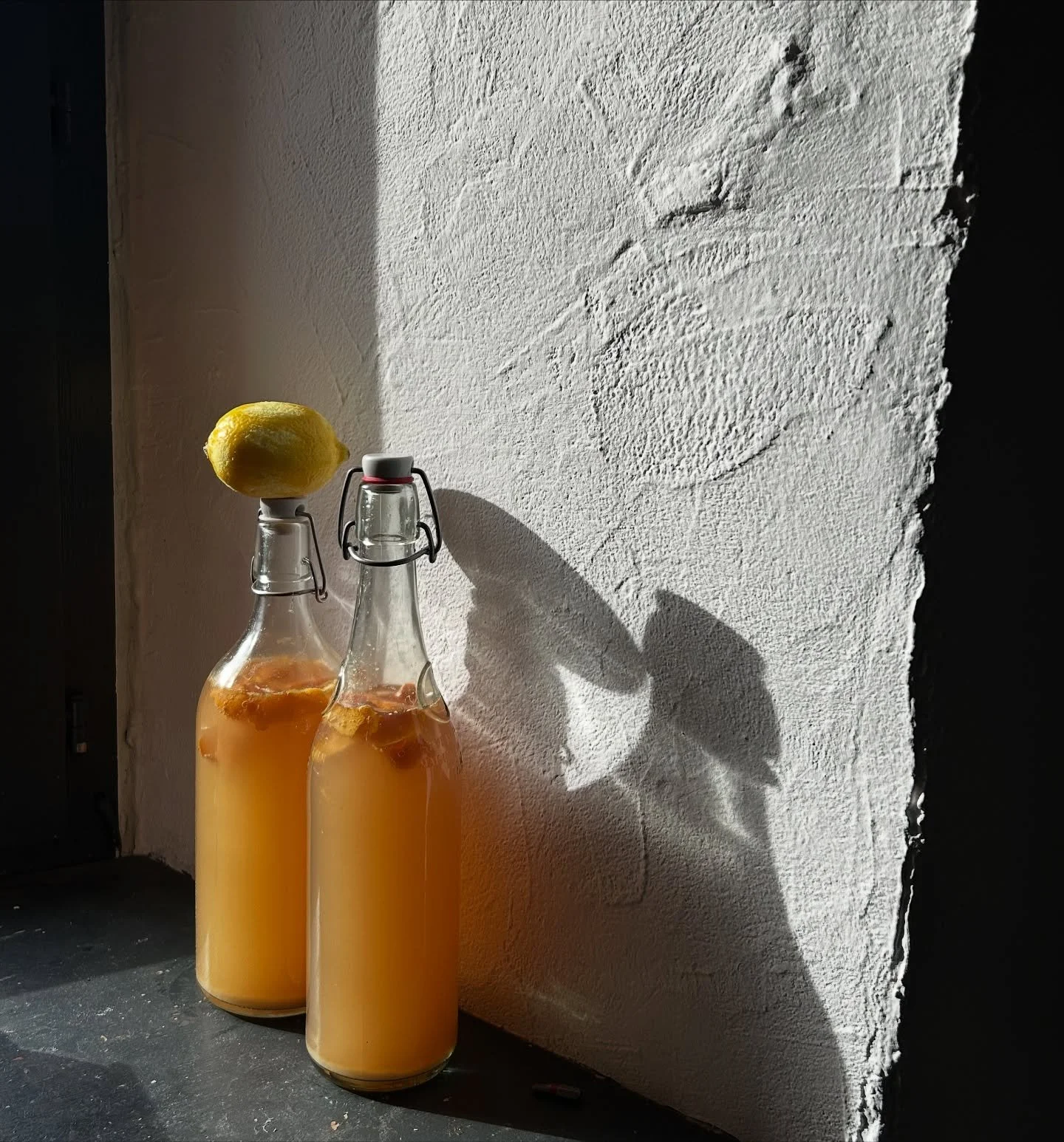 DEEP AUTUMN JOYS // The first citruses have arrived from down south and Spain. Served with breakfast and featured in our kombuchas and in dressings. HAPPY DAYS. 

The kaki fruits are hung outside now that the rain has subsided and our annual #hoshiga