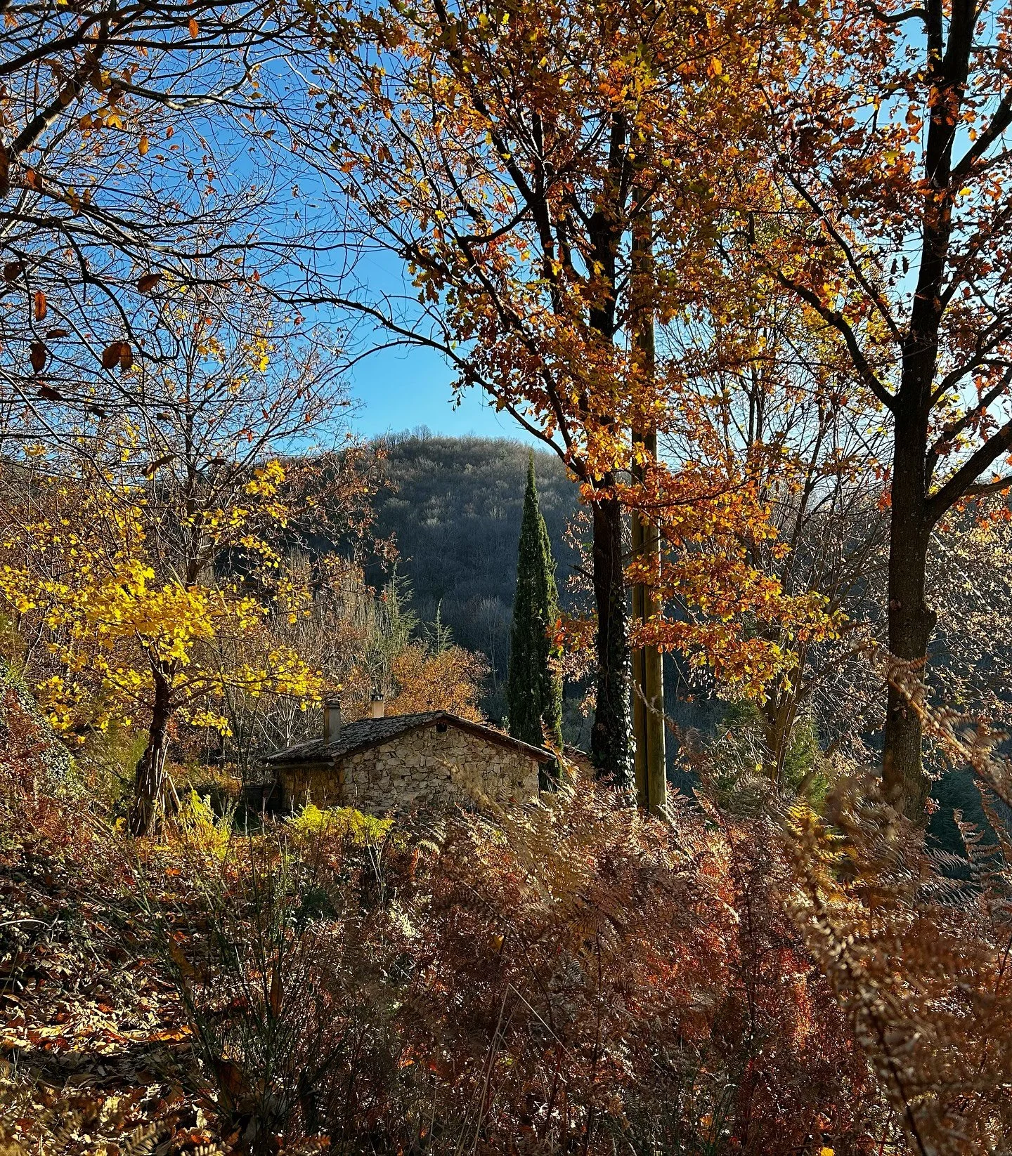 WEEKEND AWAY // Restore in our little house. The last autumn leaves are leaving and paving the way to full permission to loaf by the fire. 

Hang out, play some vinyl, read, eat drink go for a walk in and around beautiful Burzet, recharge and repeat.