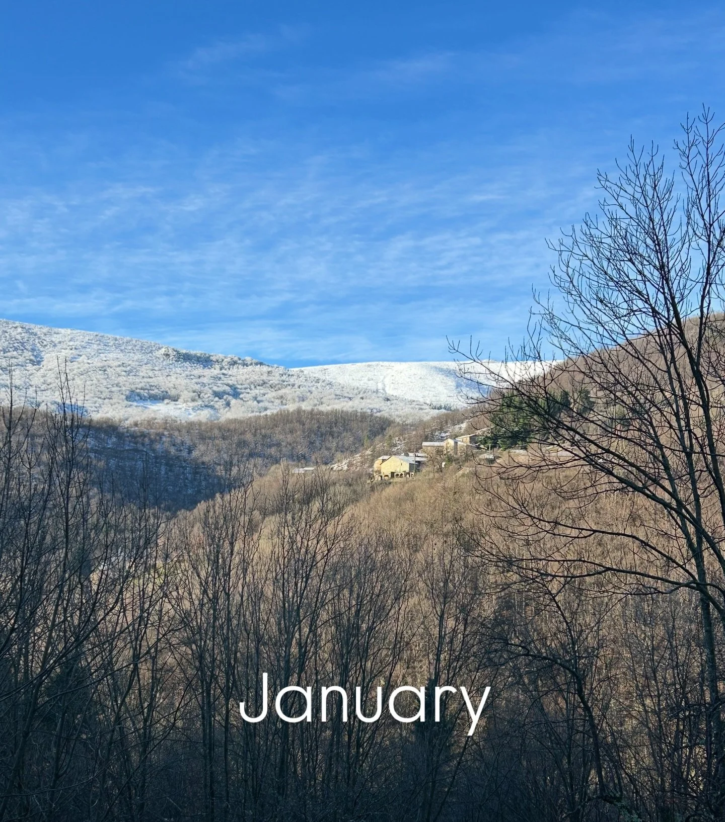 FOUR SEASONS ~ FOUR REASONS or around the calendar  in twelve months at Chez Margot. 

January - March
Sometimes there is snow in the early part of the quarter. A lot of time there is sunshine🌞. Lighter days. We huddle around wood fires and drink de