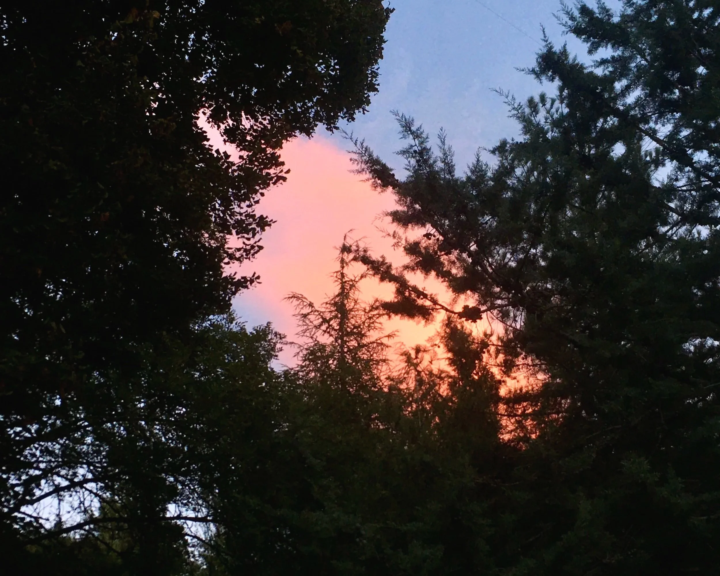 Mongolian Ceremony - Private Studio Event