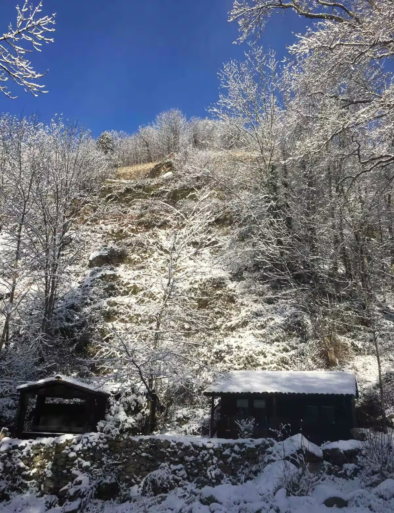 WINTER BLISS // We try to order snow, and sunshine but nature will always gift us surprises.  Nature knows best and It calls us to slow down and enjoy just that&hellip; 

Sleep in, take it slow, light the fire, the coffee is percolating. A gentle kno