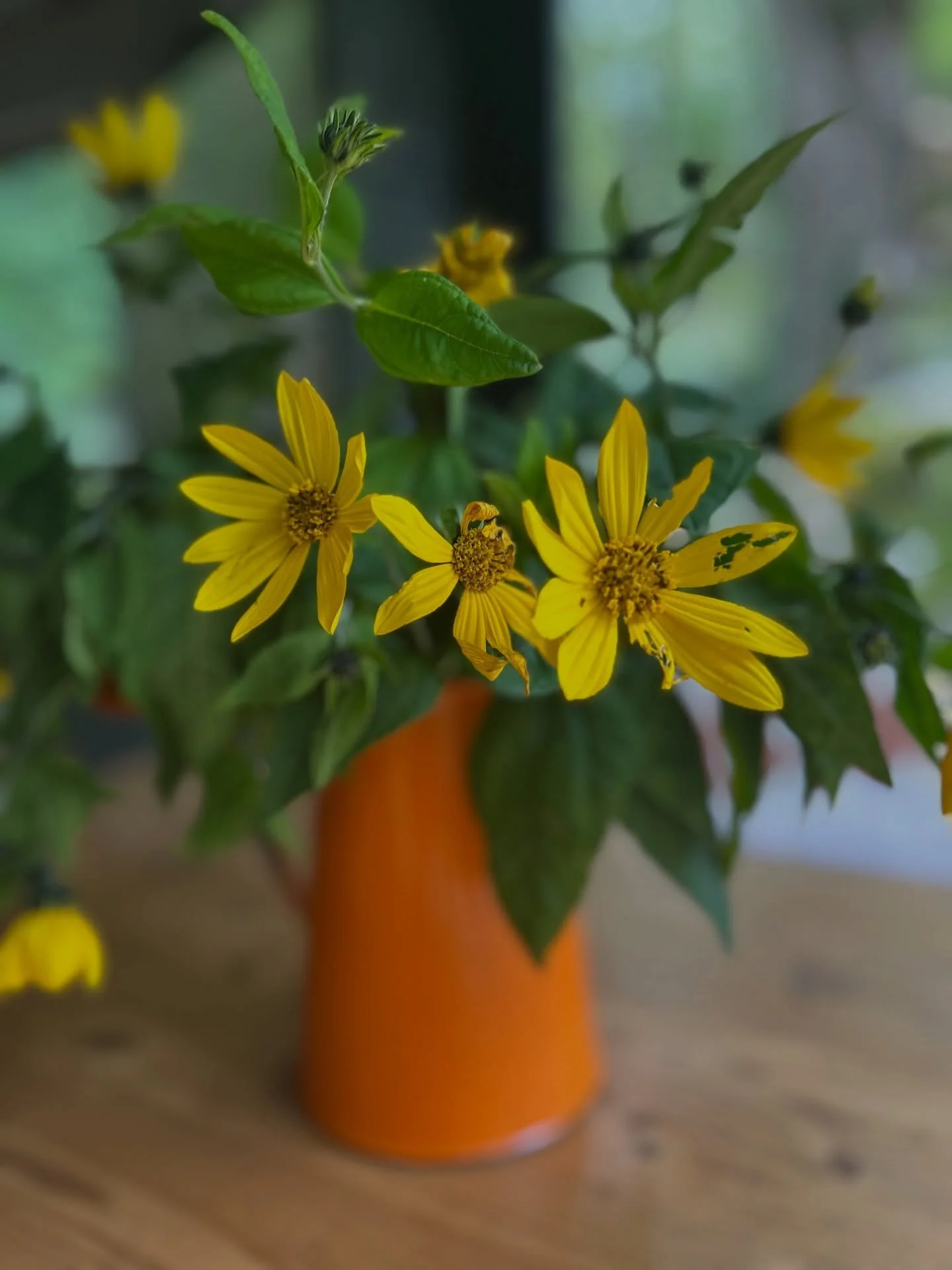 SUNSHINE // Late winter days makes us look for sunshine in everything&hellip; 

Happy Friday friends, would love to hear what you are up to, where you are 🌞🌞🌞. 

PS come stay with us x