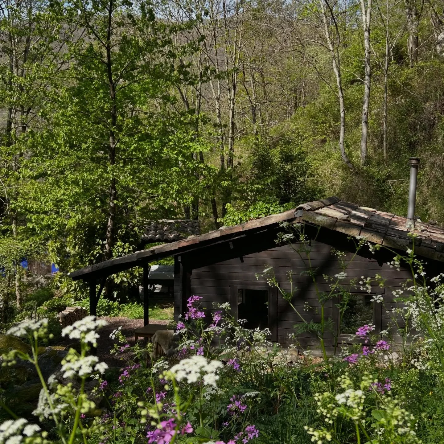 APRIL IS HERE // The cabin is the perfect spring hideout.  The blossoms and trees are waking up, the woodland floor is flowering all around. 

There are enough logs to set the world ablaze and the cabin is warm enough to walk around butt naked. 

Apr