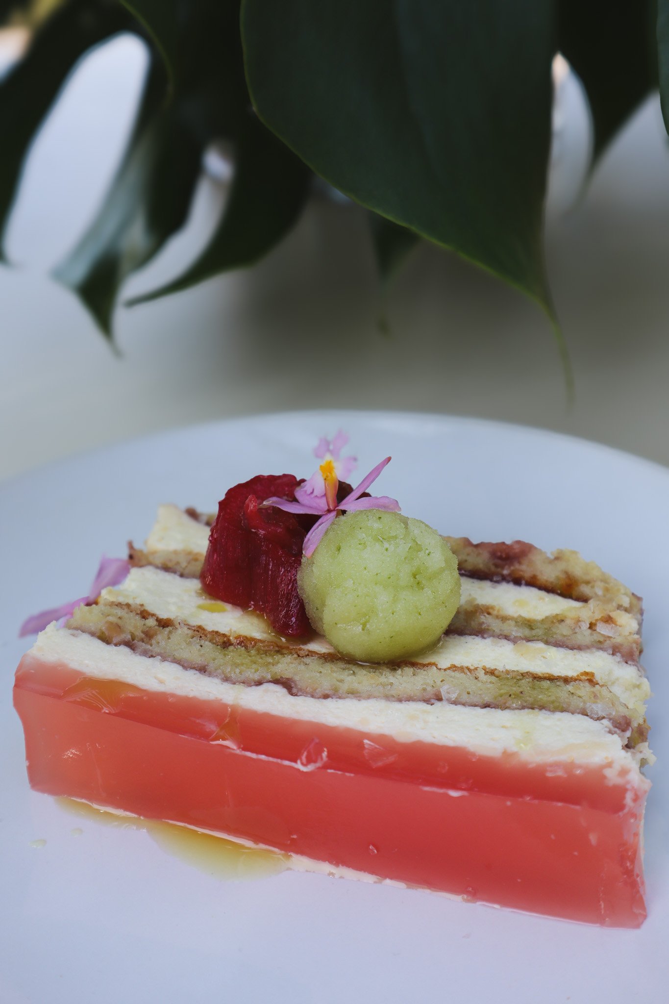Rhubarb cake with vanilla bean bavarois + bergamot sorbet