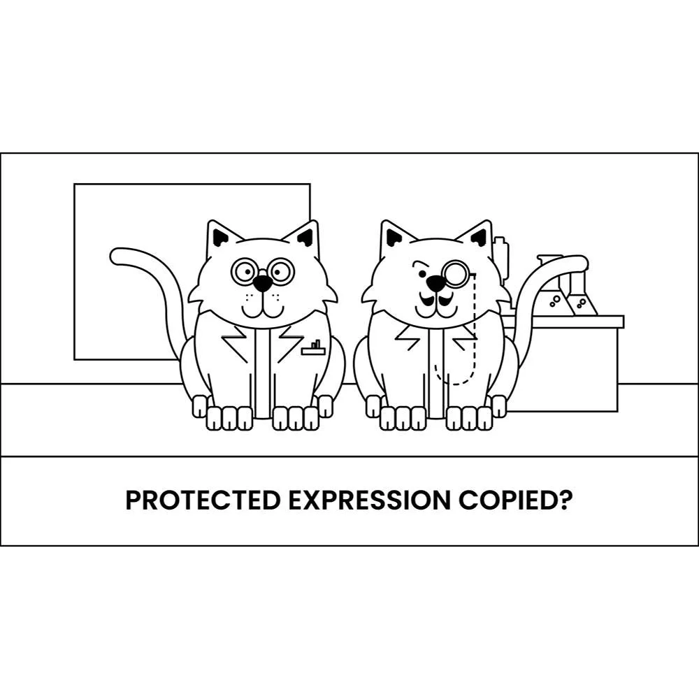 Albany_Law_6.jpg