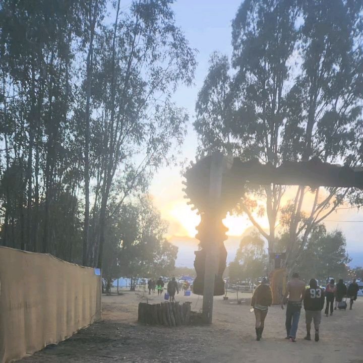 @wildhorsesfestival was phenomenal last weekend 🙌 I'm so glad @shtubymusic played the last set on Saturday 🫶 it was so packed and it was truly beautiful to see the new dat rise along with everyone 😌 

@shtubymusic and @dekel_official as the last s