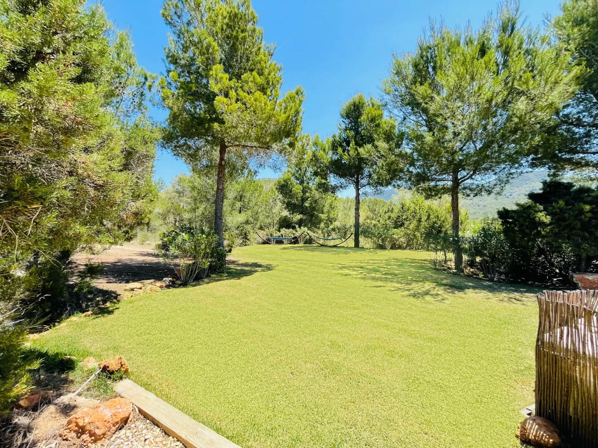 A lush backyard with green grass, tall trees, and a clear blue sky
