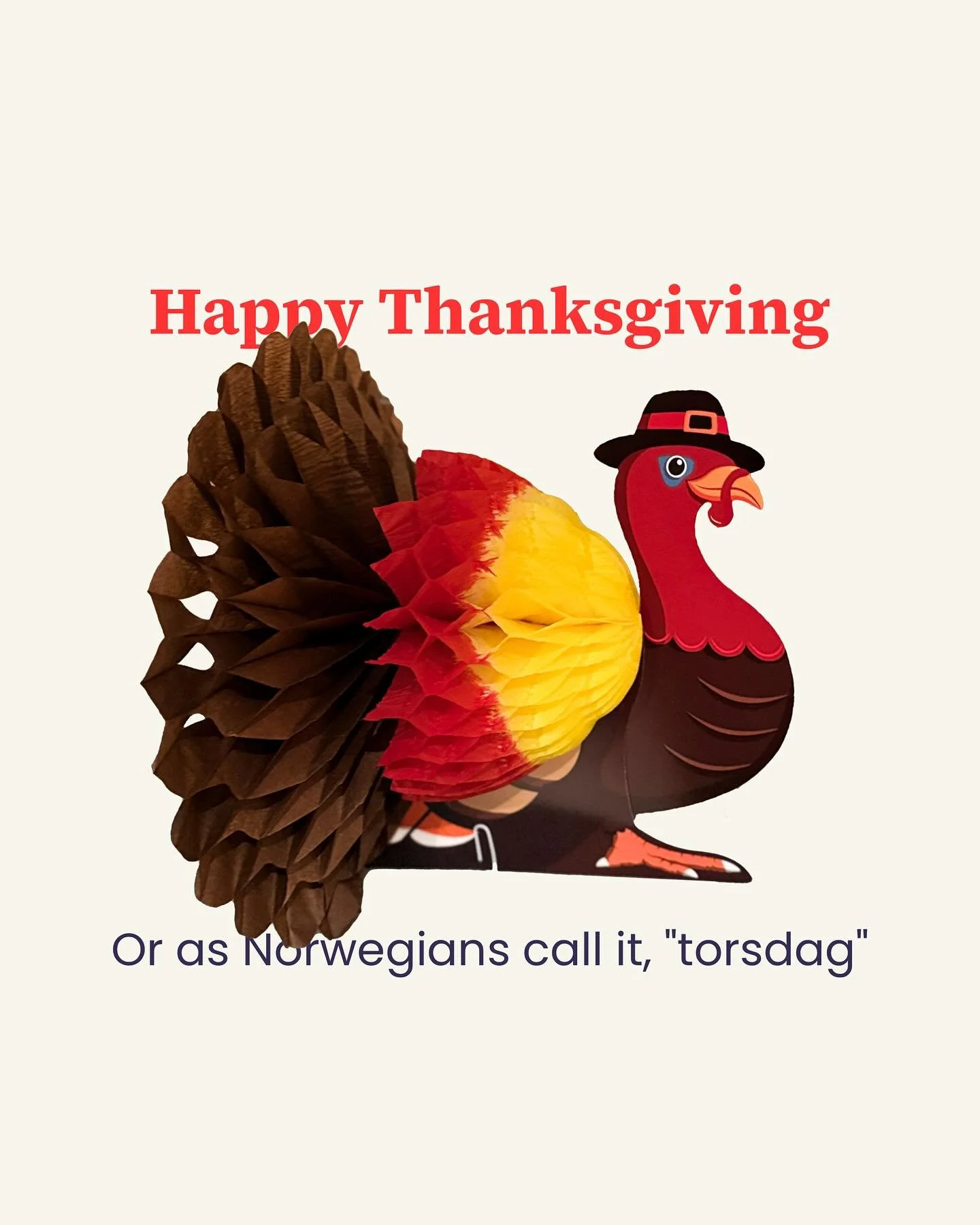 Happy American Thanksgiving! Or, as they say in Norway, “torsdag.” 😉🦃
Today’s about more than turkey (although it’s the main dish!) —it’s about gratitude. As an American in Norway, Vy reminds us how blending cul