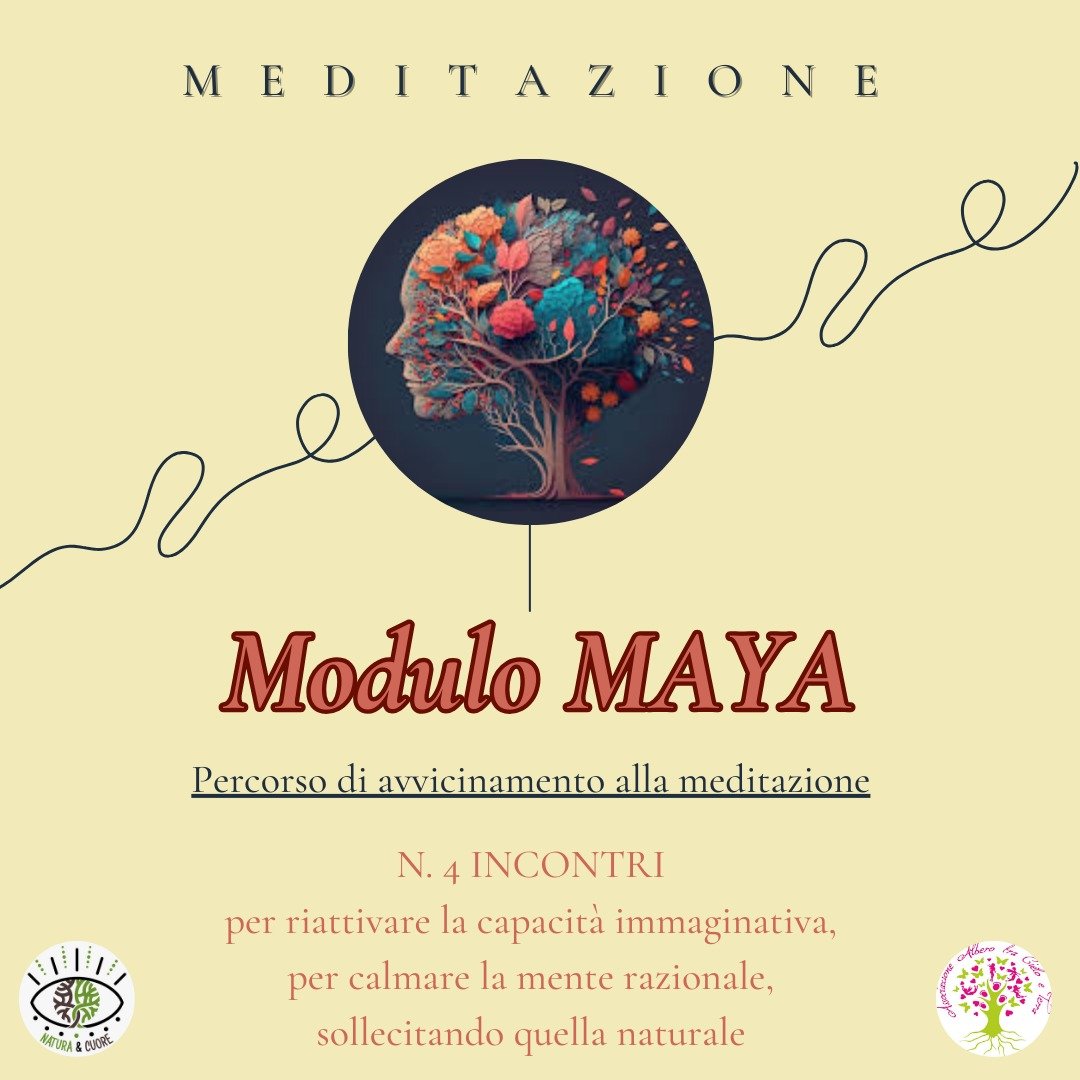 Modulo MAYA