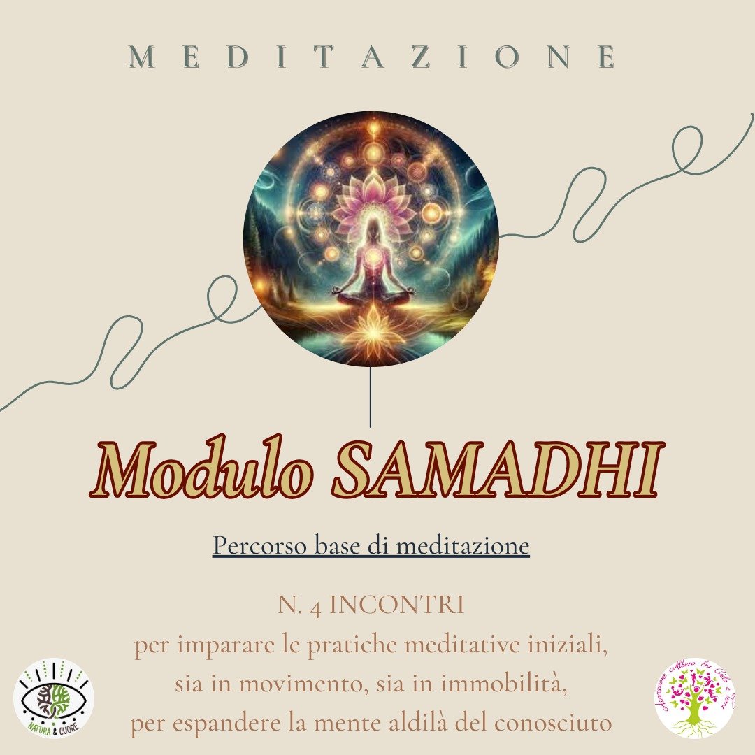 Modulo SAMADHI