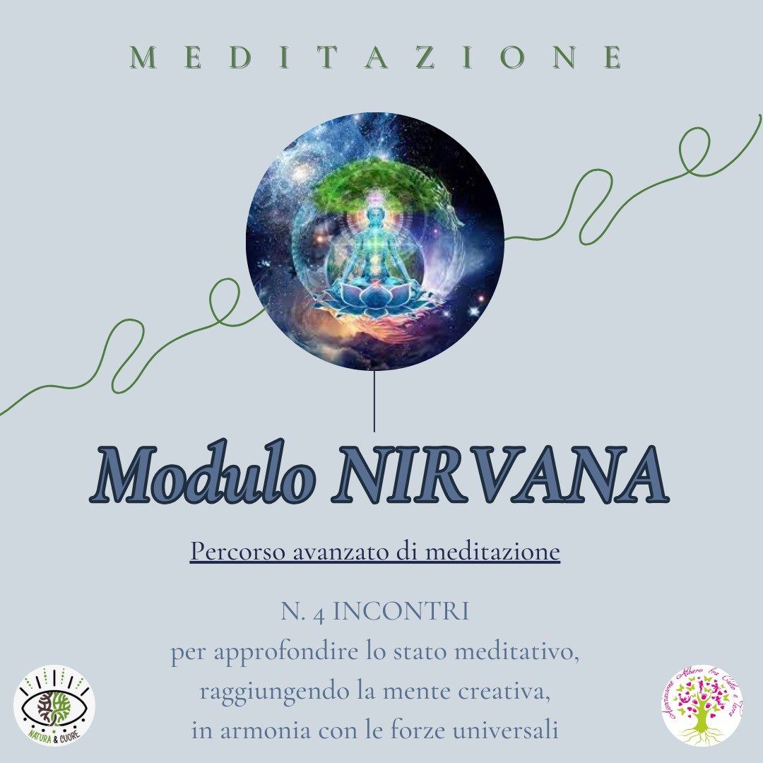 Modulo NIRVANA