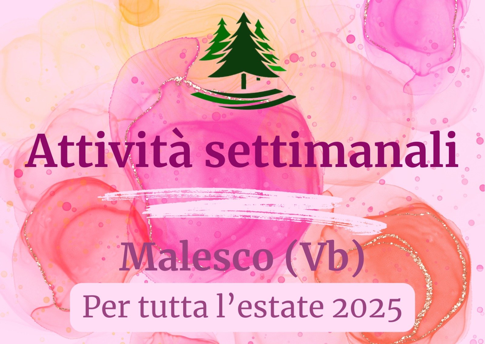 Attività settimanali Estate 2025