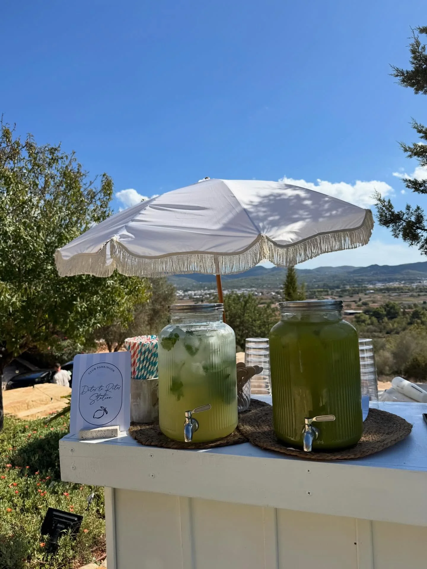 Day 2 celebrations for Lola &amp; Dan at @canfrareibizavilla 🌴

The perfect post-wedding poolside recovery, thoughtfully curated to keep the celebrations flowing.

Starting with our &lsquo;detox to retox&rsquo; service, with a hydrating homemade gin