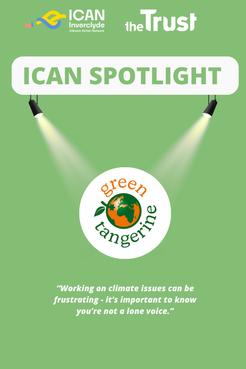 ICAN Spotlight: Green Tangerine