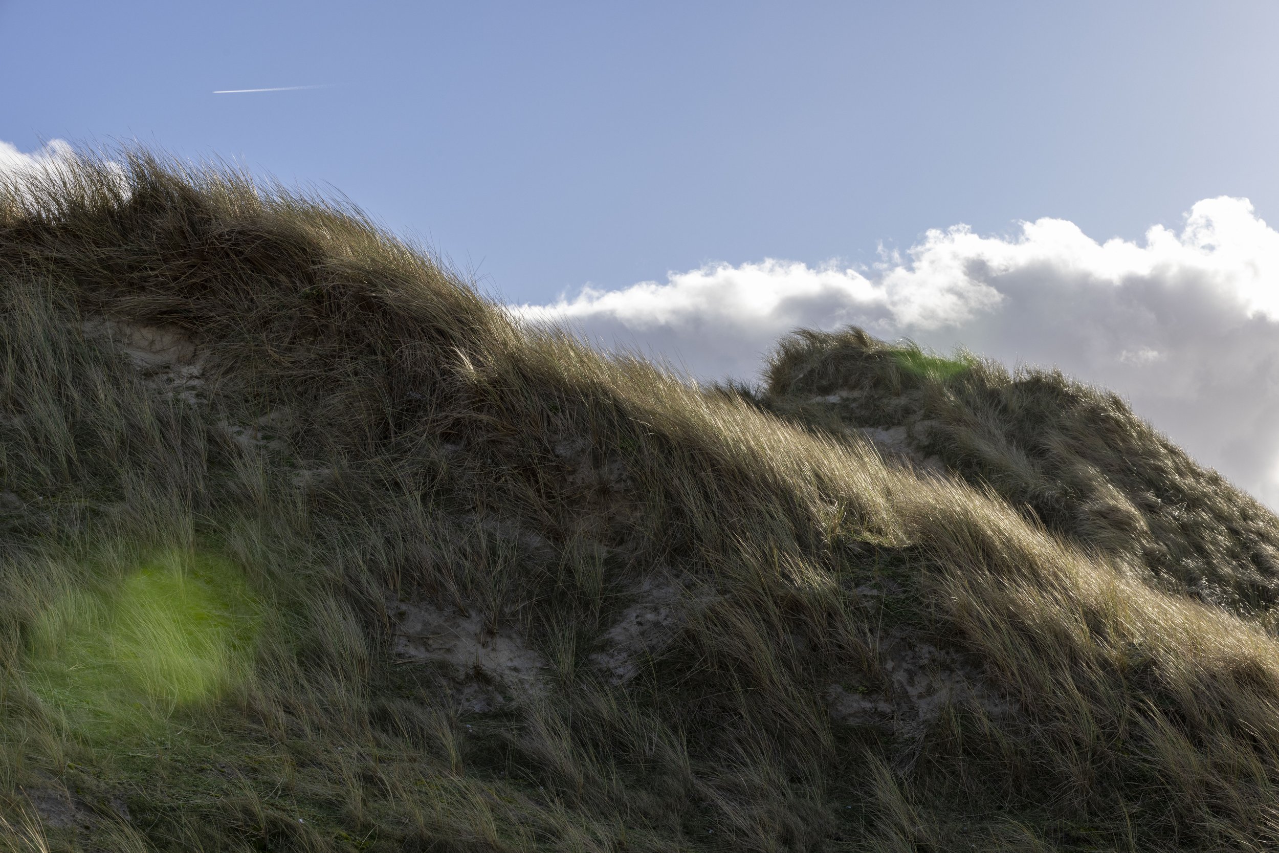Sand dunes covered in tall grass under a blue sky with scattered clouds and an airplane contrail.