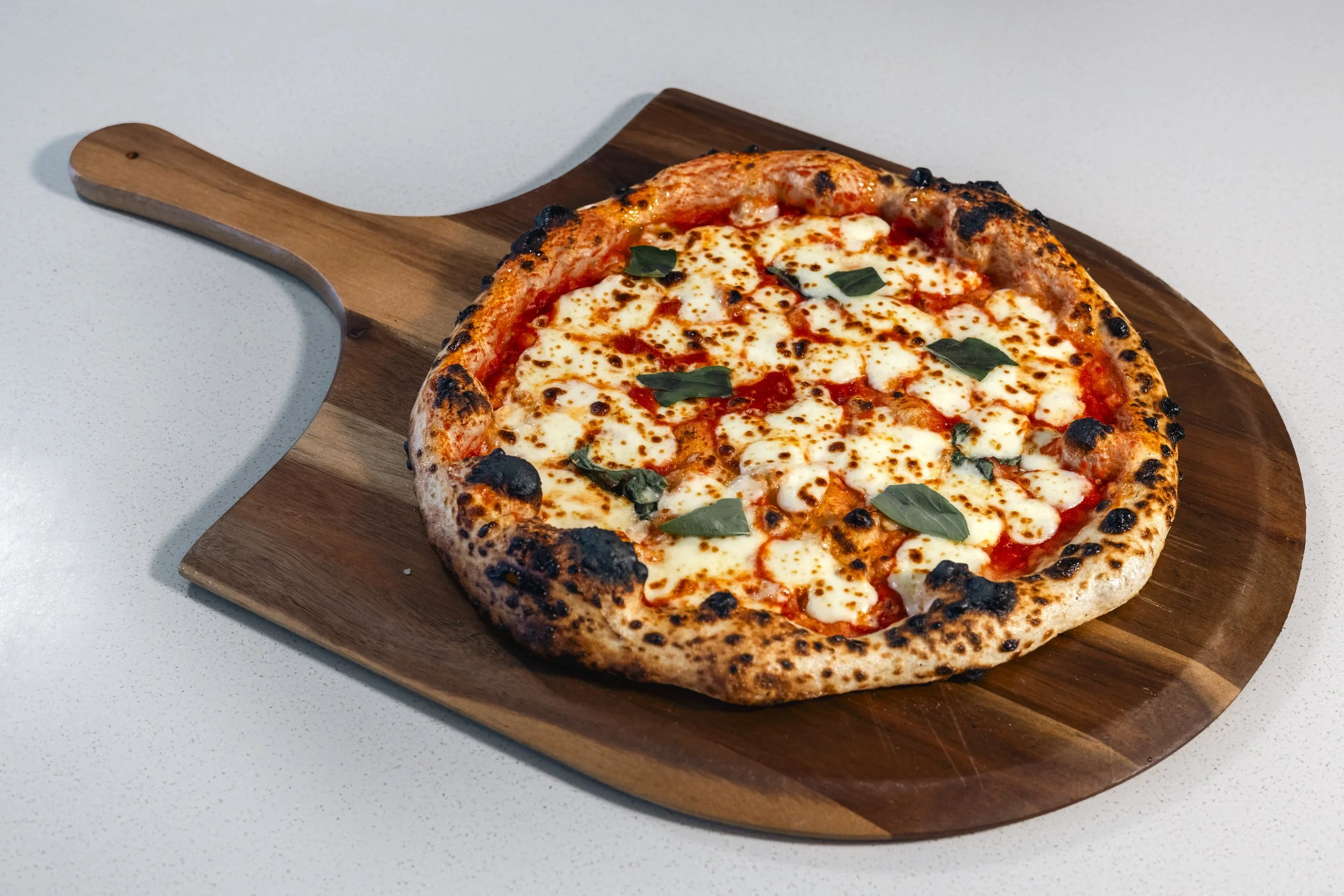 A cheese pizza with basil leaves on a wooden pizza peel