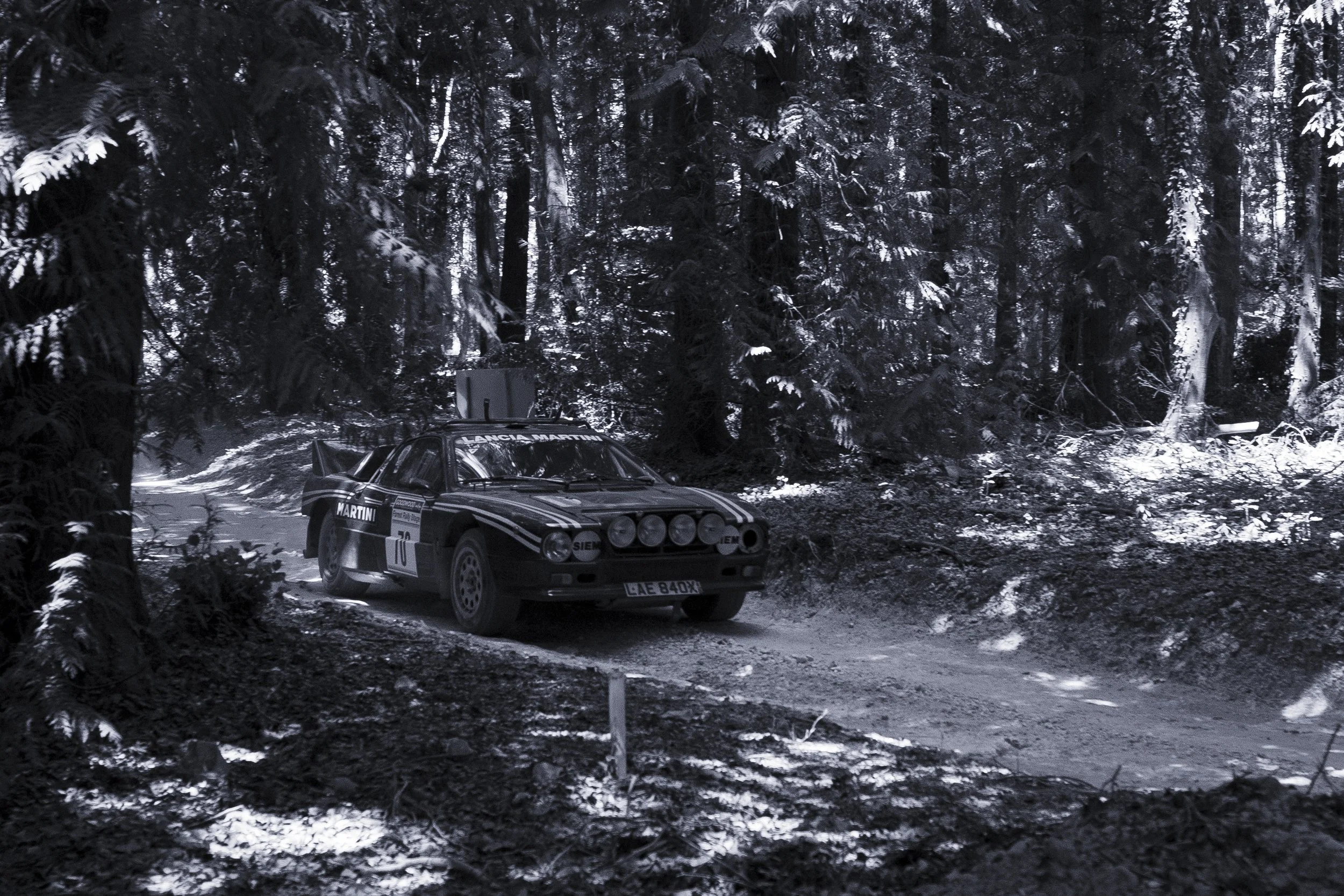 _CL_1573.jpg