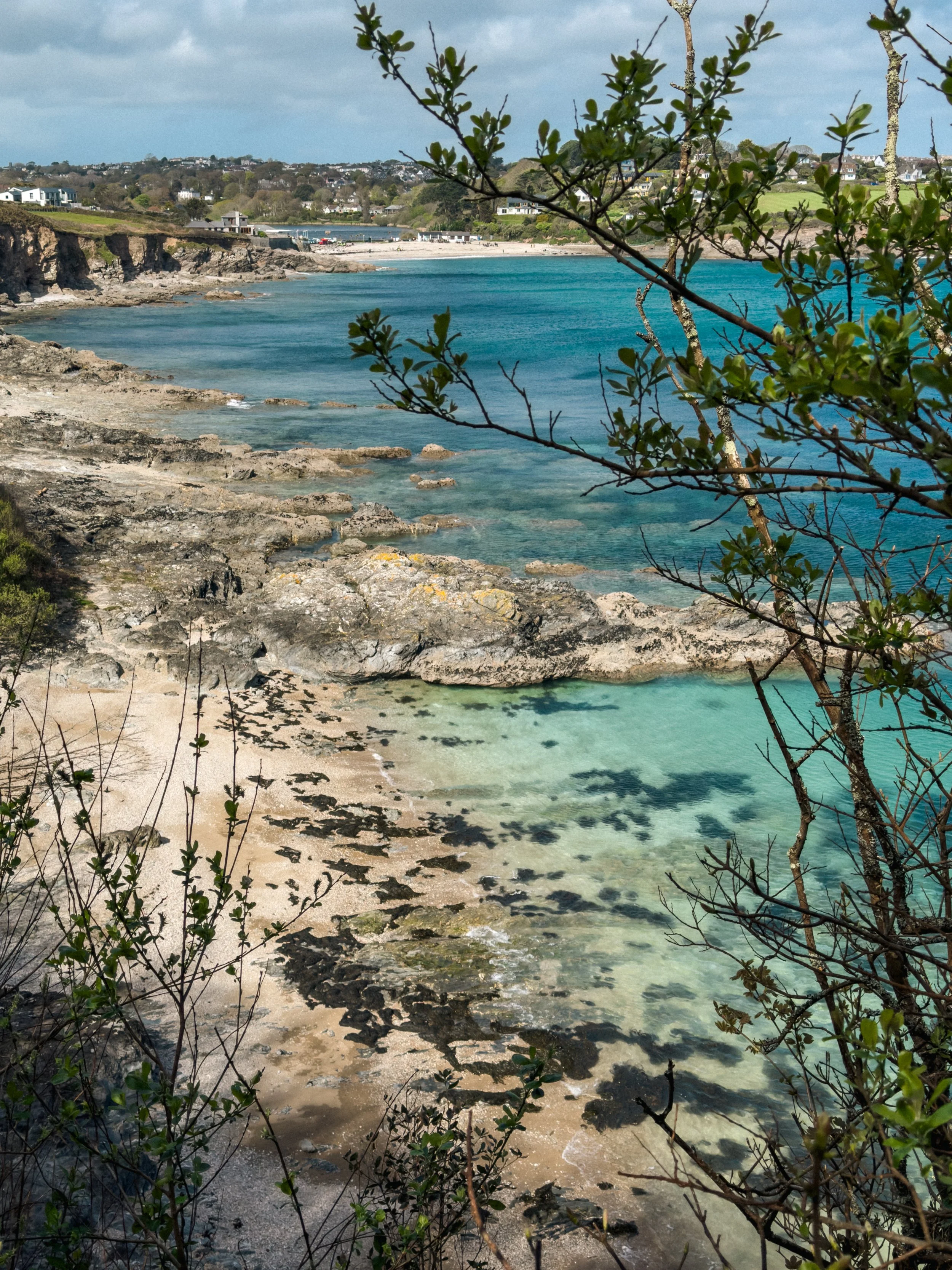 A coastal scene with rocky shoreline, clear blue water, and a sandy beach in the background. There are houses on a hill and some trees with leaves and branches in the foreground.