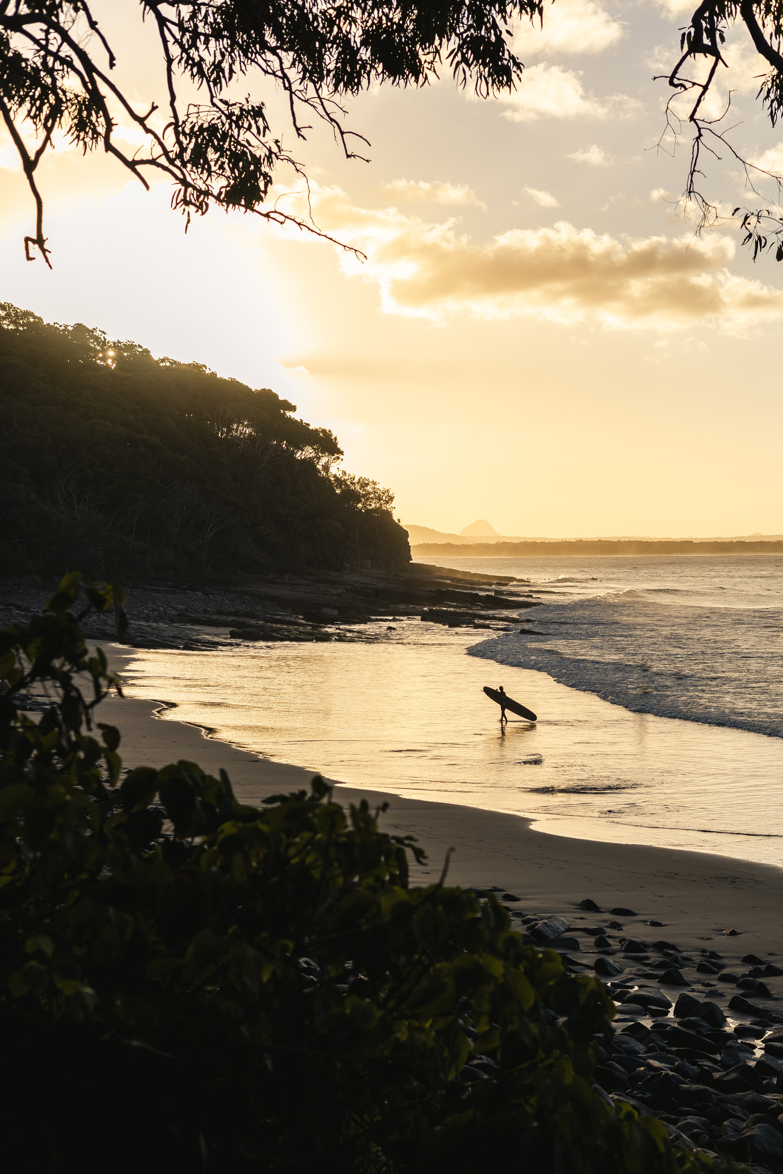 A person holding a surfboard while walking along a beach at sunset, with trees in the foreground and cliffs on the horizon.