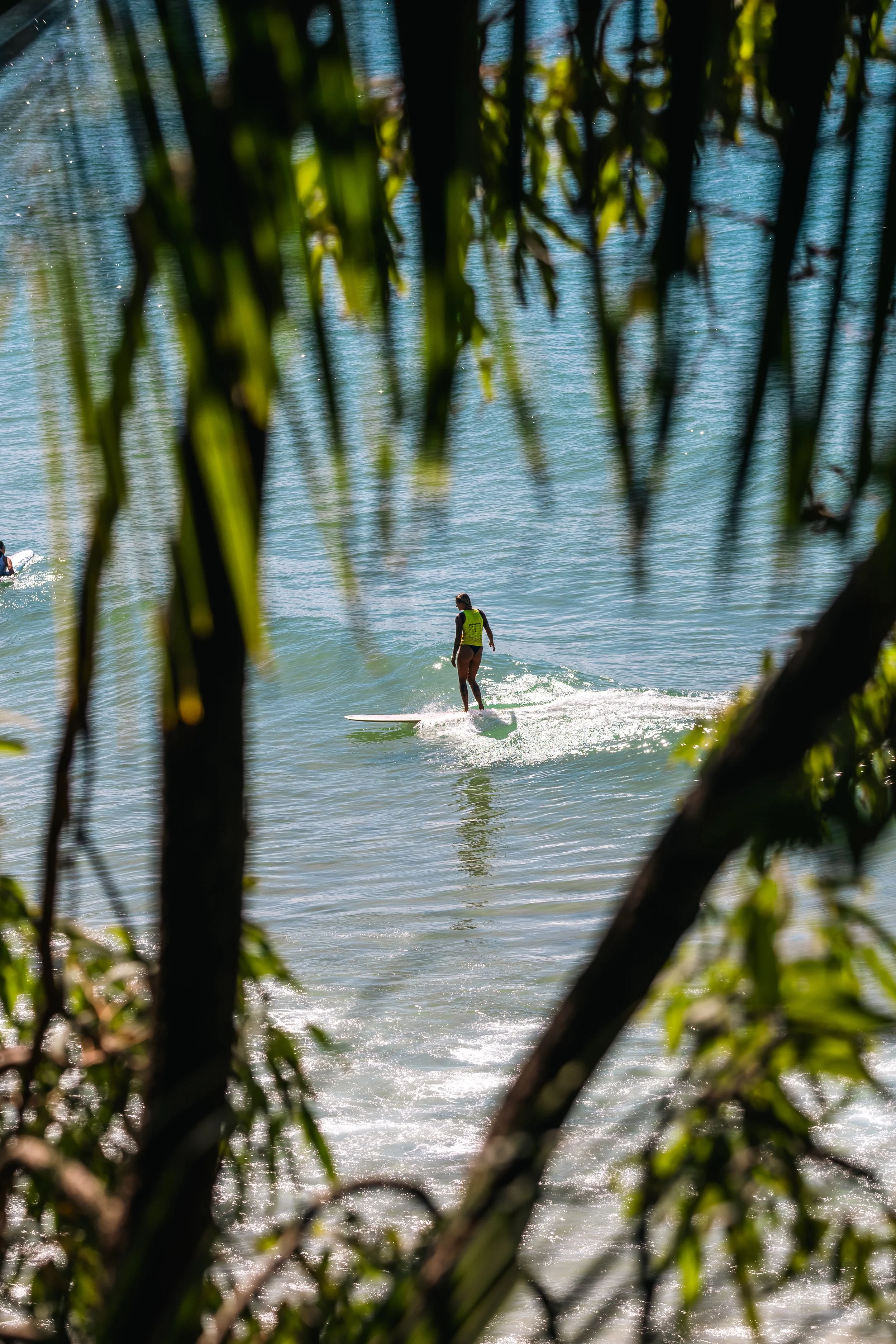 A person surfing in the ocean, seen through tree branches and leaves.