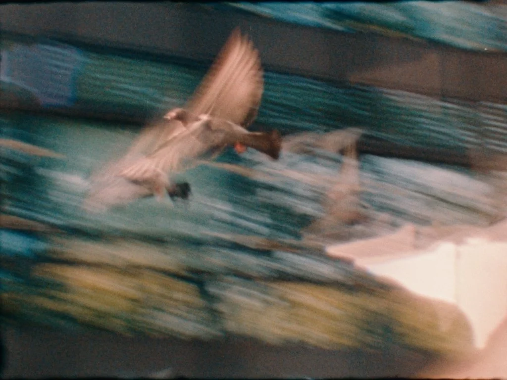 Still 2026-03-16 195132_1.18.1.jpg