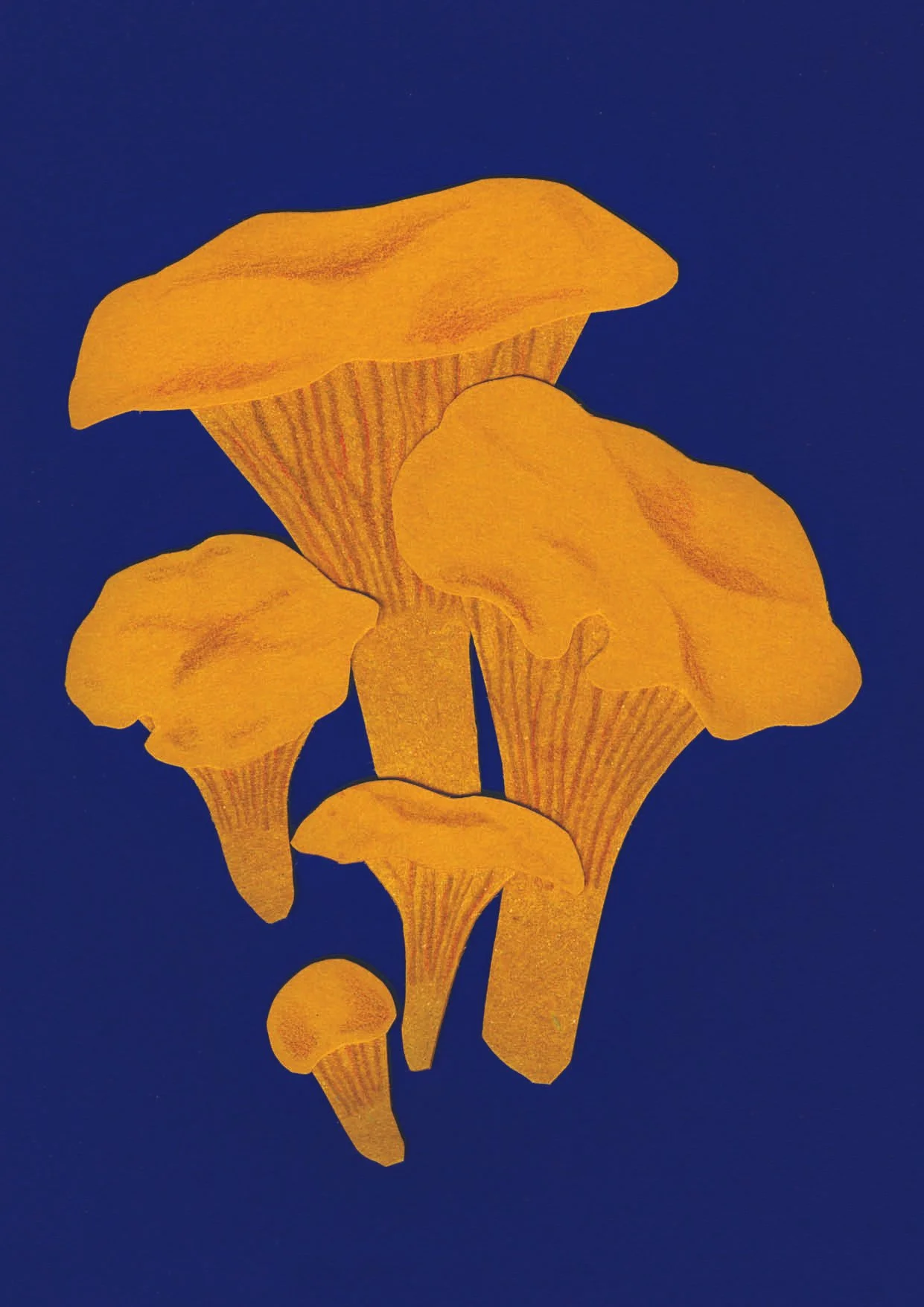 Carte chanterelle – 4.50 CHF