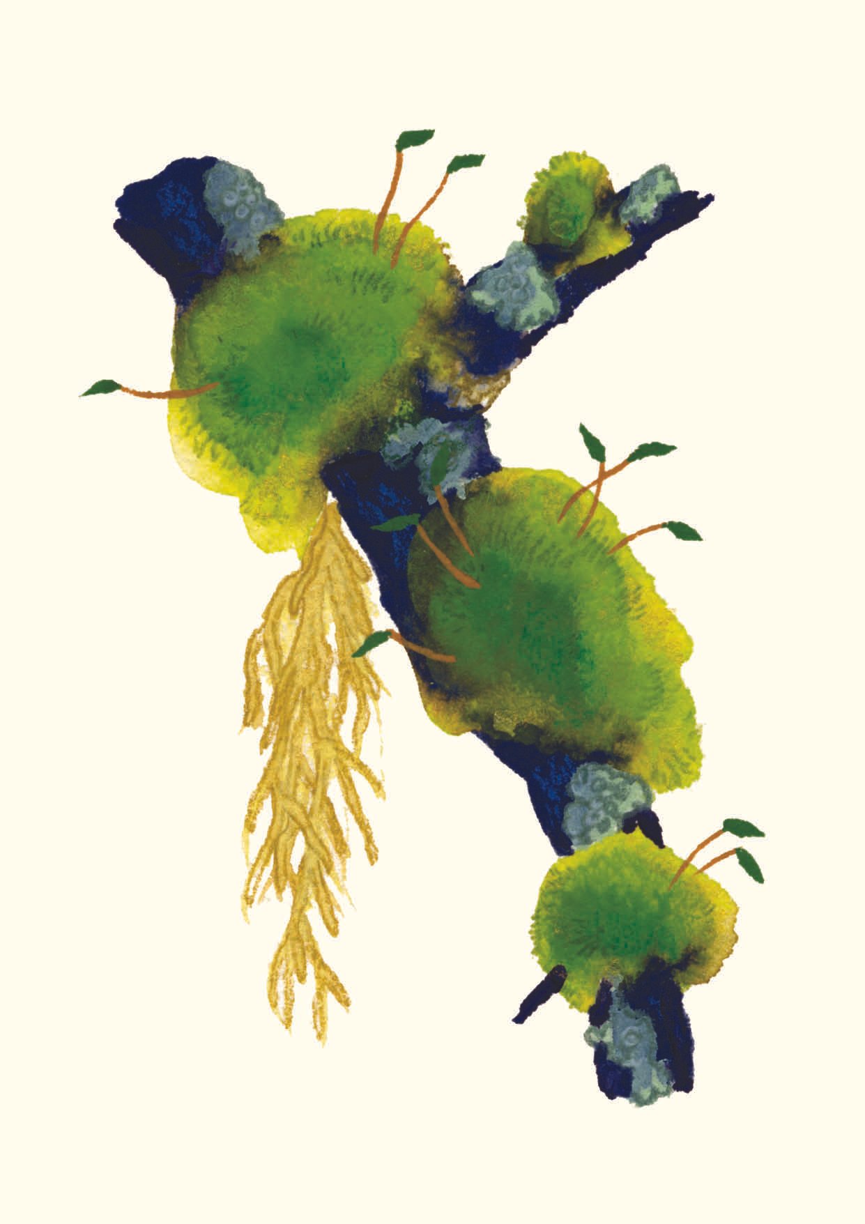 Carte mousses et lichens 8 – 4.50 CHF