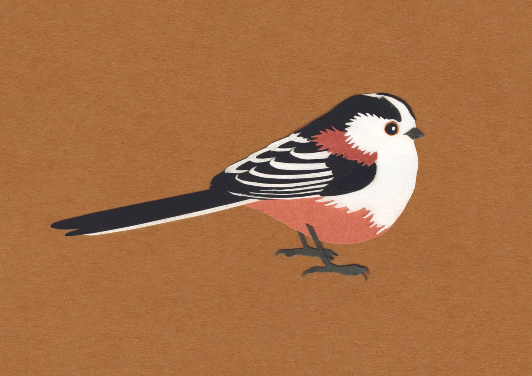 Carte mésange à longue queue – 4.50 CHF