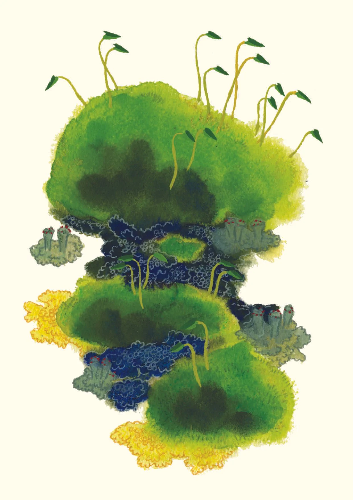 Carte mousses et lichens 2 – 4.50 CHF
