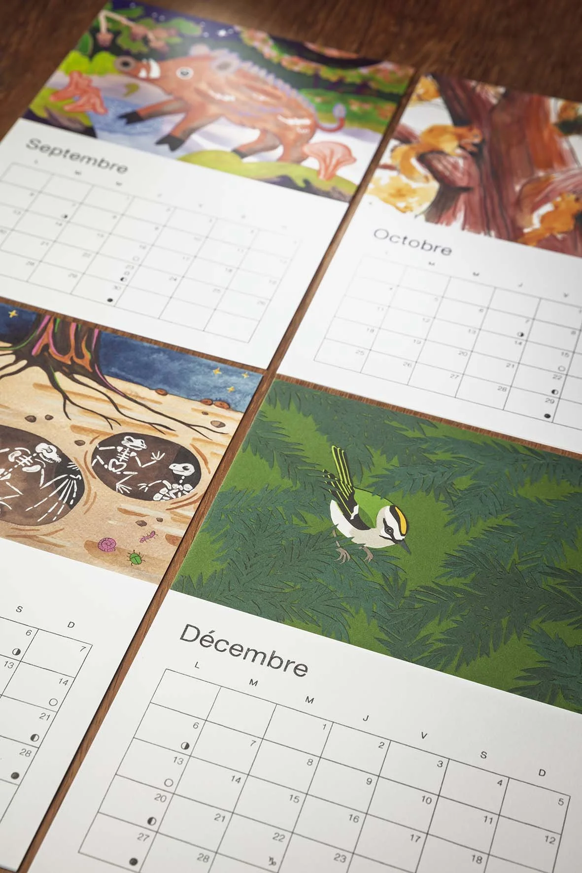 Calendrier 20275167.jpg